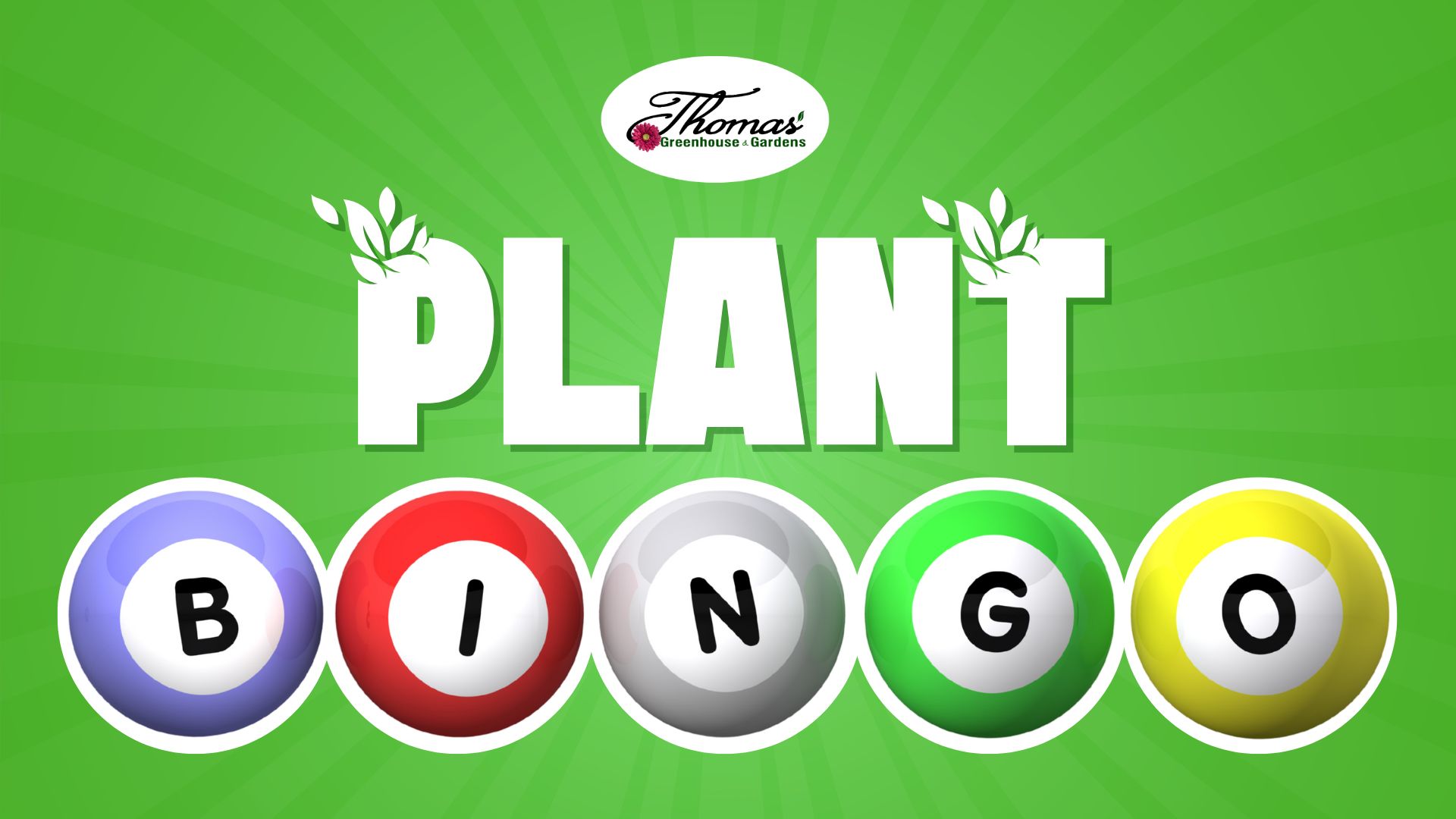 Thomas Greenhouse and Gardens Plant Bingo promotional graphic with the word ‘PLANT’ in bold white letters and colorful bingo balls spelling B-I-N-G-O on a bright green background